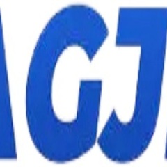sagjili1 net's profile picture