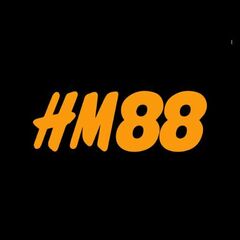 HM88 BOATS's profile picture