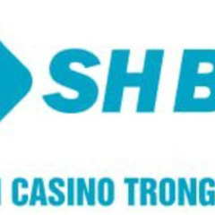 SHBet123 Top's profile picture