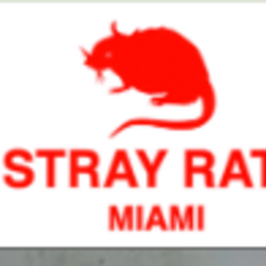 Ratgirl Clothing's profile picture