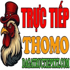 dagatructiep XYZ's profile picture
