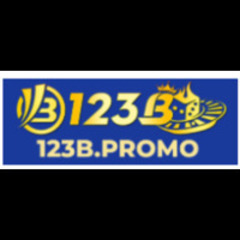 123B promo's profile picture