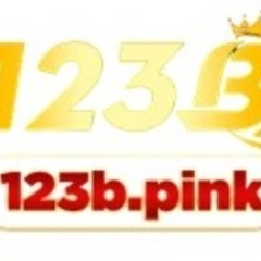 123B pink's profile picture