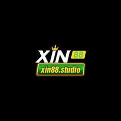 xin88 studio's profile picture