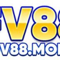 FV88  MOM's profile picture