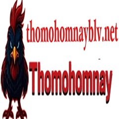 THOMO HOMNAY's profile picture