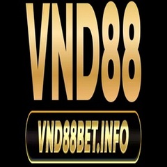 VND 88's profile picture