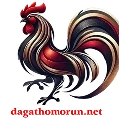 daga THOMO's profile picture