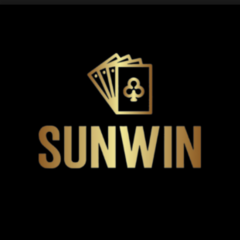SunWin Strategy's profile picture