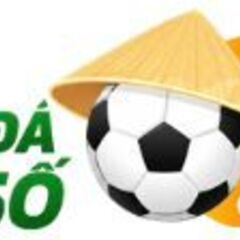 bongdaso24 org's profile picture