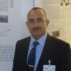 Magdi Abdelhamid's profile picture