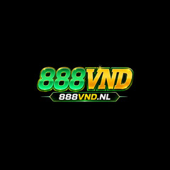 888 VND's profile picture