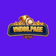Vnd88 page's profile picture