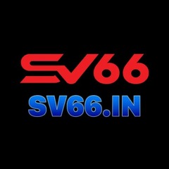 SV66 in's profile picture