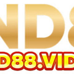 vnd88 video's profile picture
