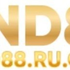 Vnd88  ru com's profile picture