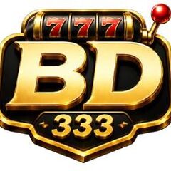 BD333  gg's profile picture
