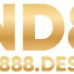 VND88 design's profile picture