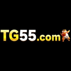 TG55 Com's profile picture