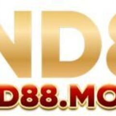 VND88 VND88's profile picture