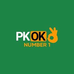 Pkok dev's profile picture