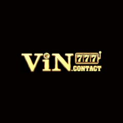 vin 777's profile picture