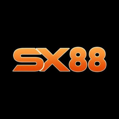 YZSX8888  COM's profile picture