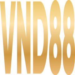 VND88 center's profile picture