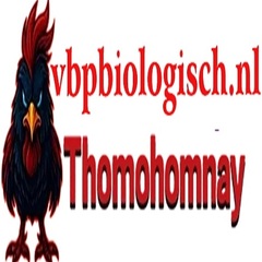 THOMO HOMNAY's profile picture