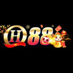 QH88 Vin Online's profile picture