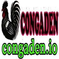 CON ga ĐEN's profile picture