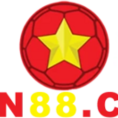 VN 88's profile picture