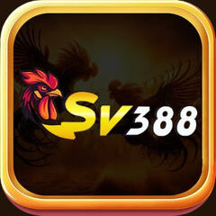 SV388 KIM's profile picture