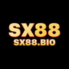 SX88  BIO's profile picture