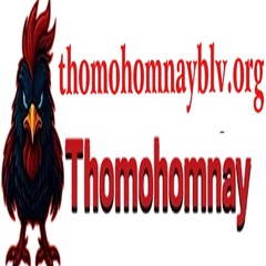 THOMO HOMNAY's profile picture