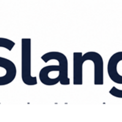Slang Spot's profile picture