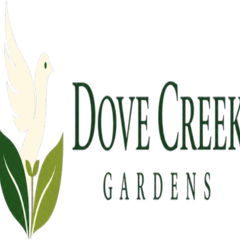 Dove Creek  Gardens's profile picture