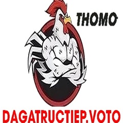dagatructiep VOTO's profile picture