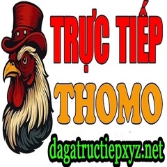 dagatructiep XYZ NET's profile picture