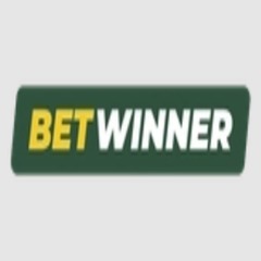 BetWinner Casino's profile picture