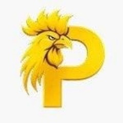 Paito  SDY's profile picture