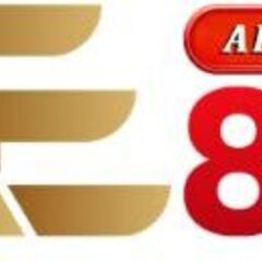 ae888 vote's profile picture