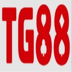 TG 88's profile picture