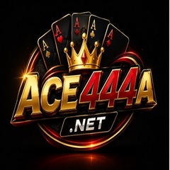 ace444a net's profile picture