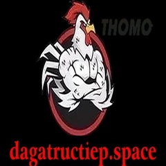 dagatructiep SPACE's profile picture
