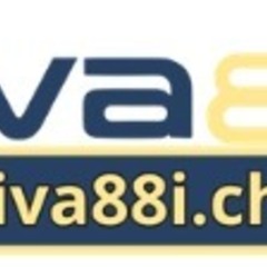 VIVA88i CH's profile picture