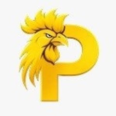 Paito  SDY Lotto's profile picture