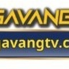 GAVANGTV CH's profile picture