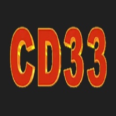 playcd33 com's profile picture