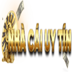Nhacaiuytin5  to's profile picture
